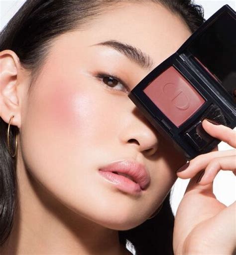 dior 361 blush|dior rouge blush.